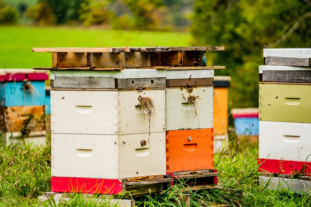 a bunch of beehives that are sitting in the grass