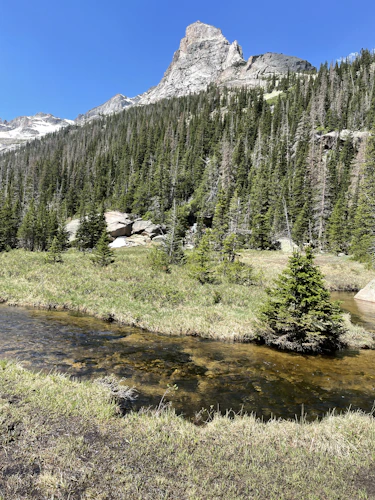 A small subalpine creek running clear along a grassy meadow bank, dense dark spruce forest and granite slabs climbing the slope behind