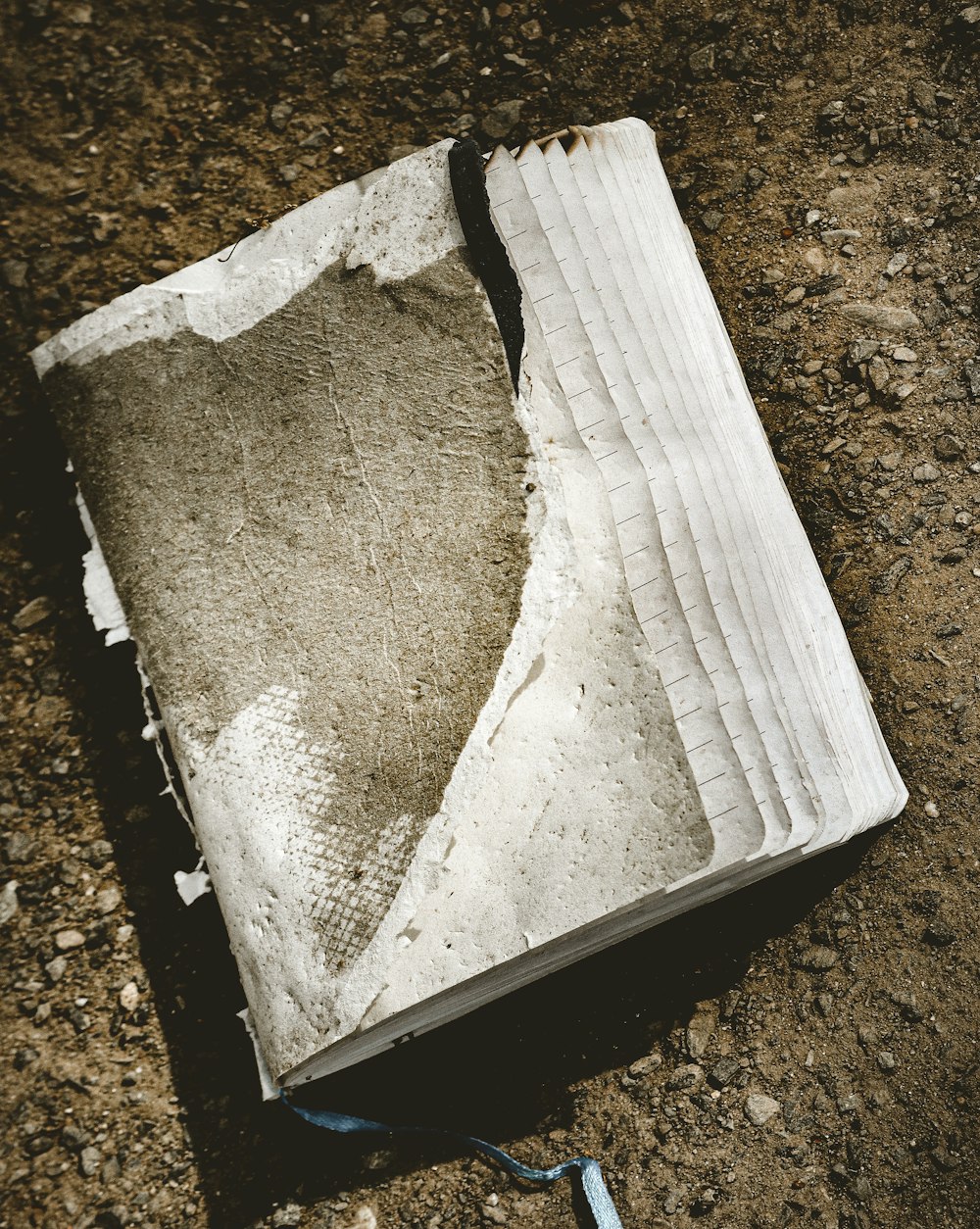 a book that is laying on the ground