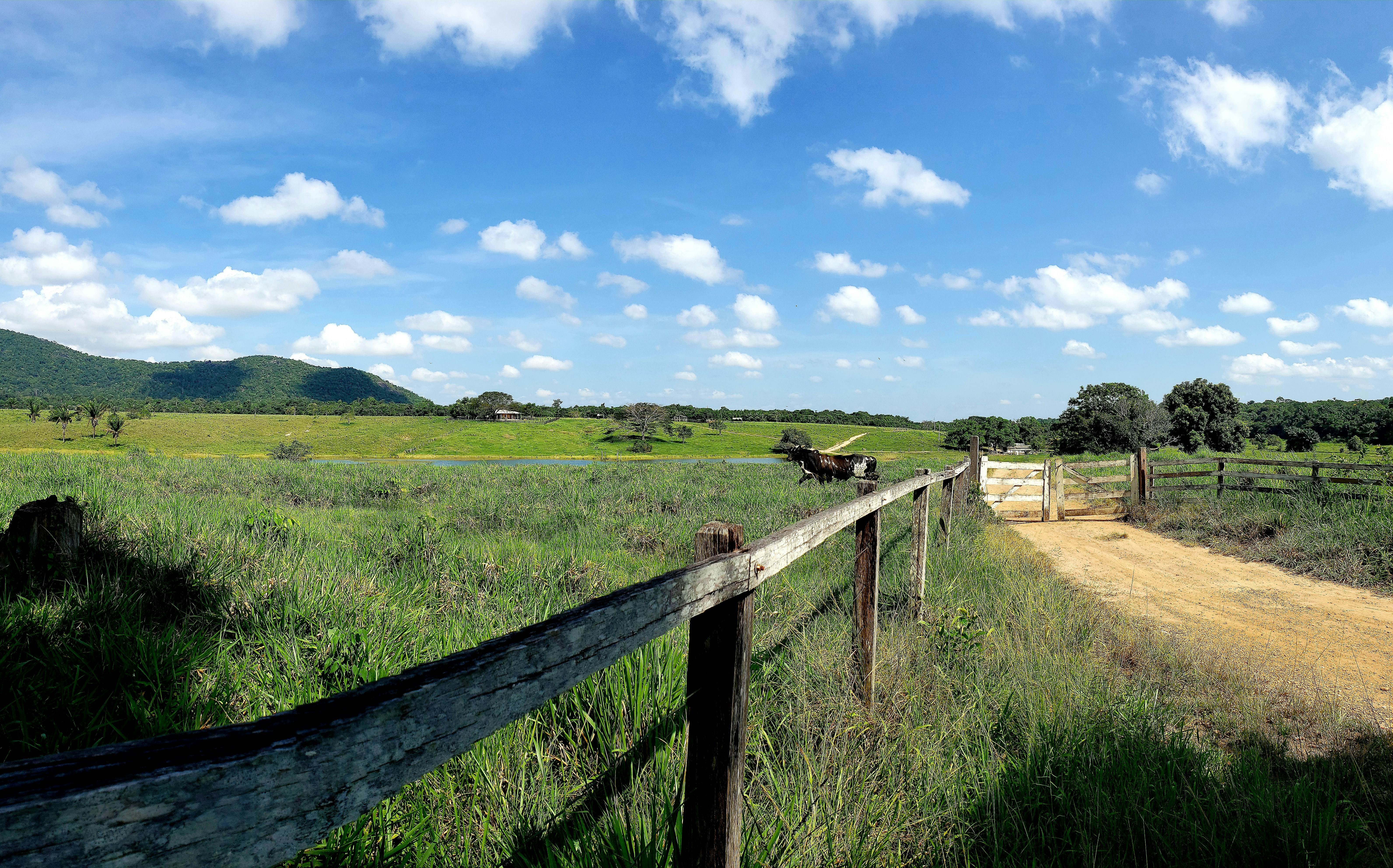 Photo by dienyportinanni