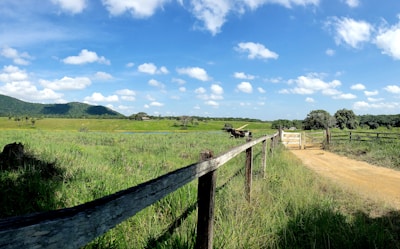 a wooden fence in front of a grassy field