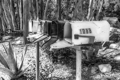 A row of weathered, open mailboxes on a wooden post stands outdoors surrounded by trees and plants. The mailboxes are tilted at different angles, numbered with '1088' visible on one of them. The scene is bathed in sunlight creating stark shadows and highlights.