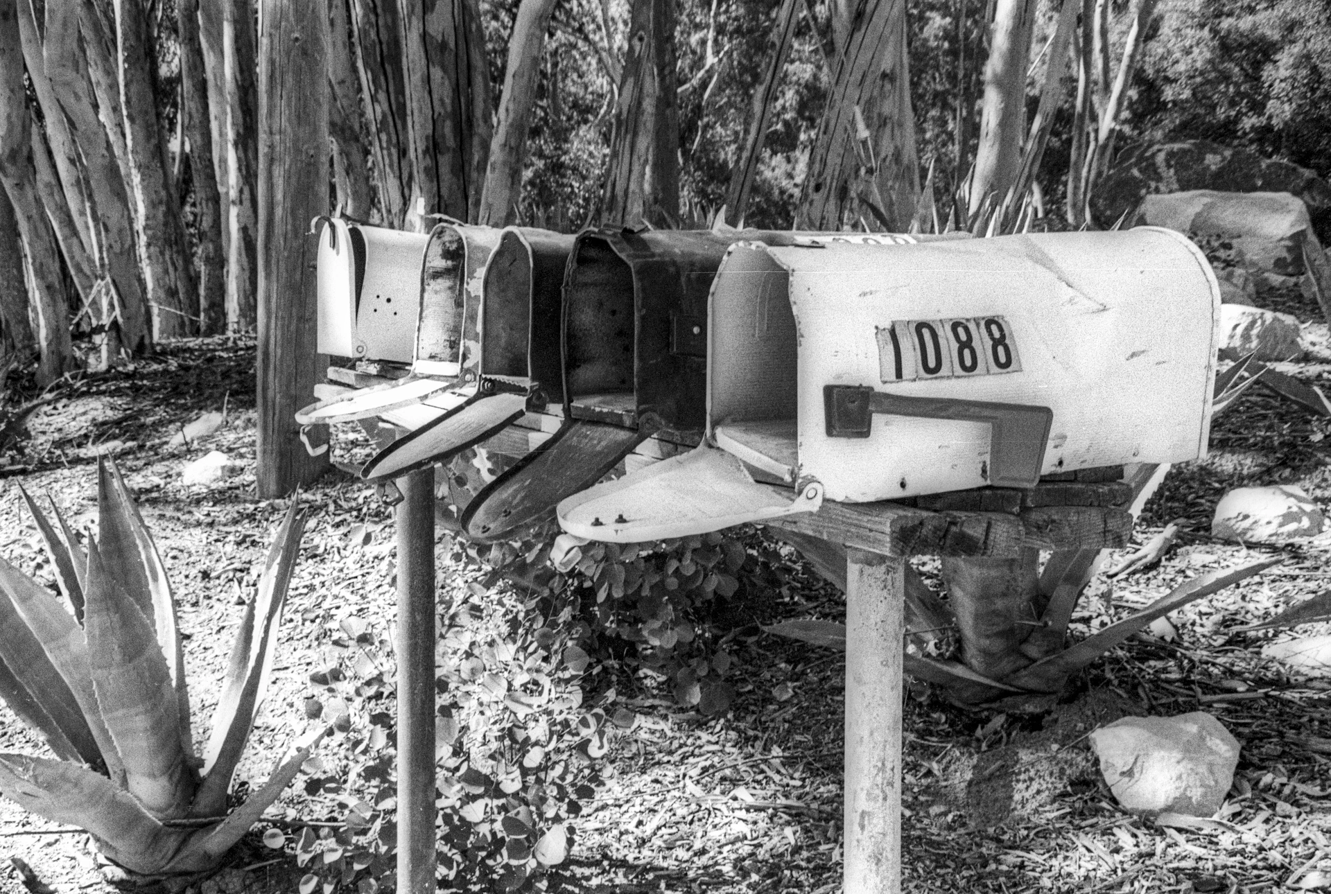 a black and white photo of a mailbox