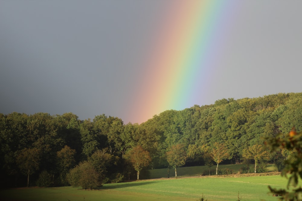 a rainbow in the sky over a lush green field