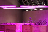 Custom architectural metal planter with clean, minimalist design and electrostatic paint finish.