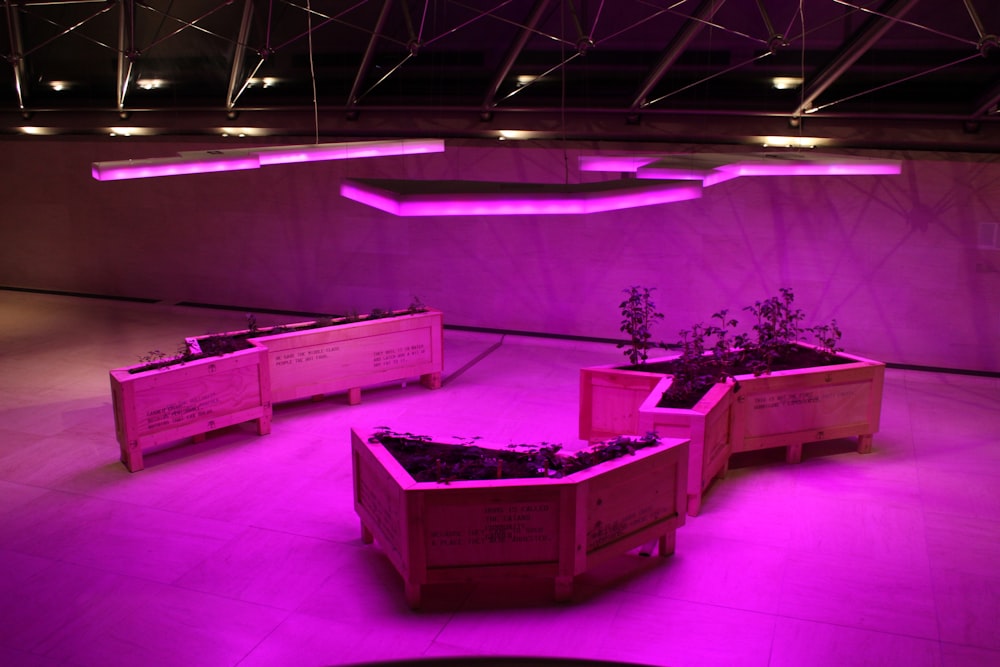 a group of planters sitting on top of a floor