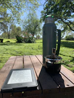 A serene outdoor scene with a person reading Mundo Claro articles on a tablet.