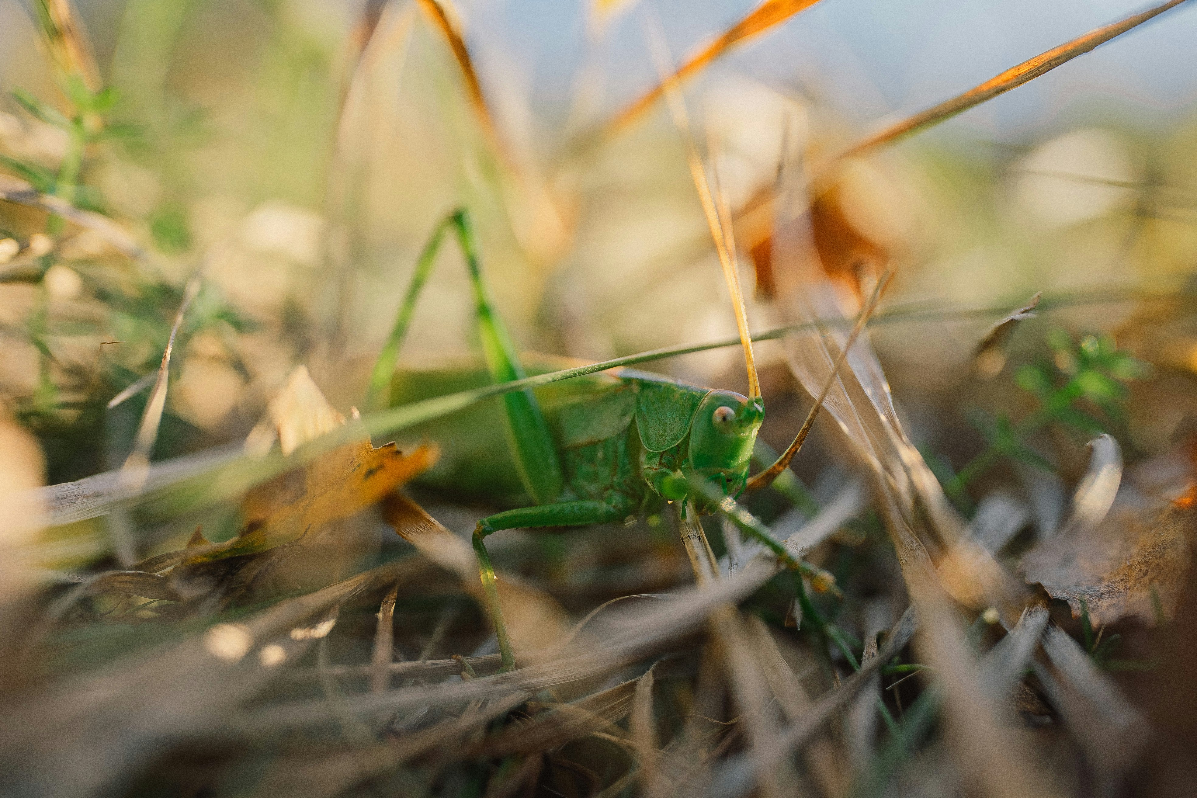 Photo by eugenechystiakov