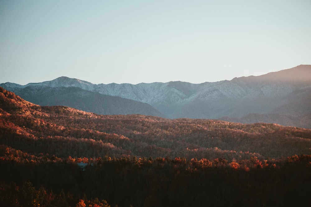 a view of a mountain range with trees in the foreground