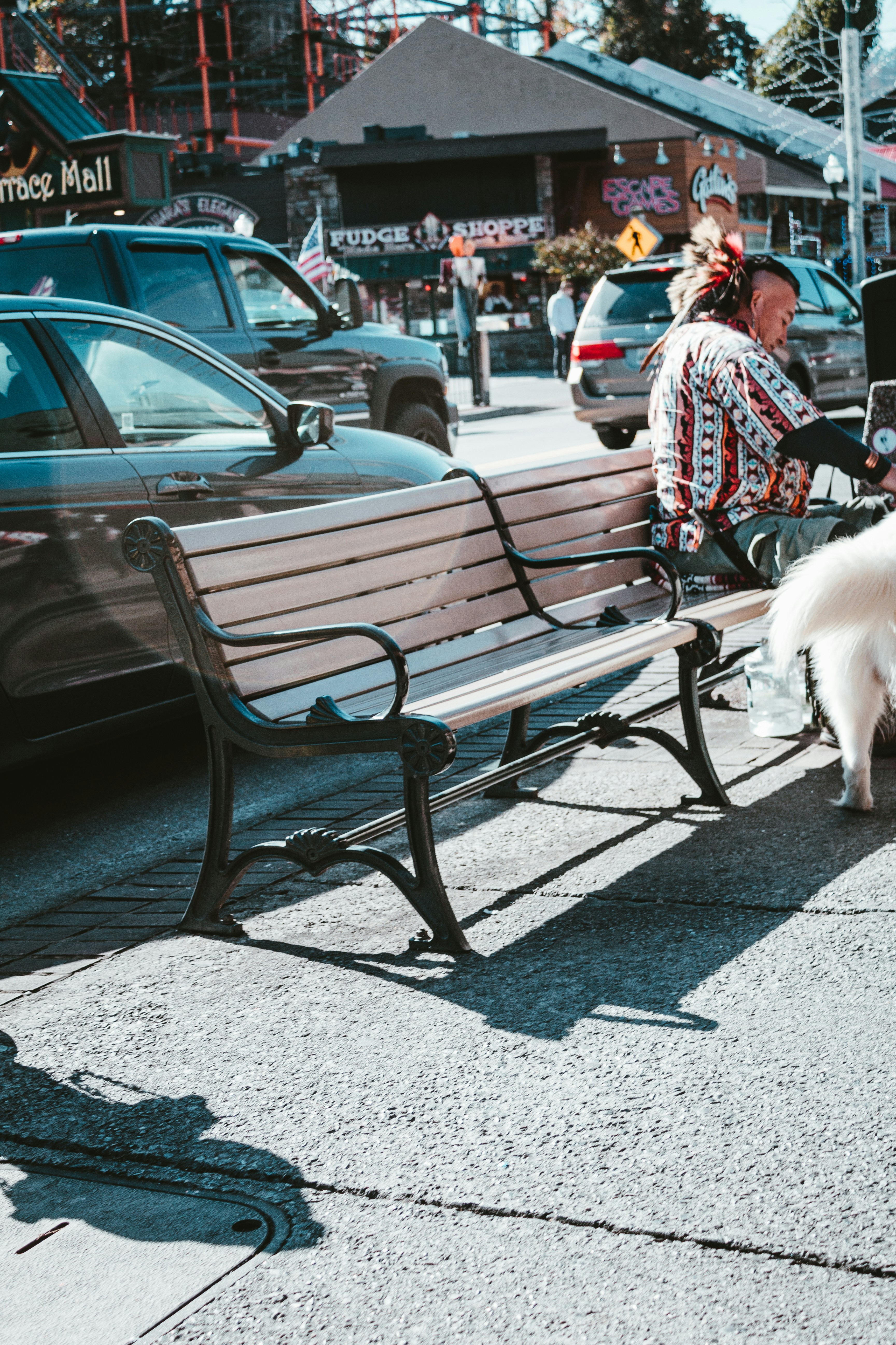 a woman sitting on a bench next to a white dog