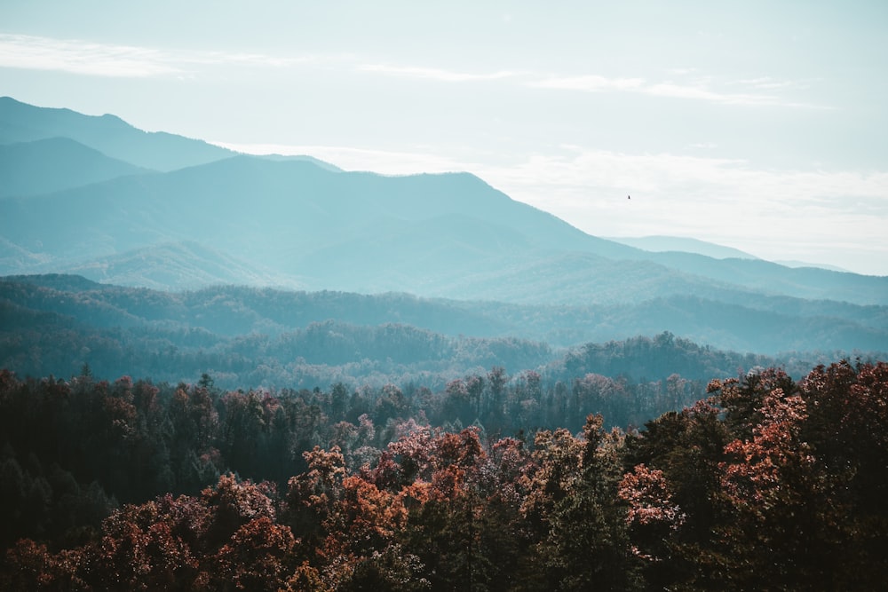 a view of a mountain range with trees in the foreground