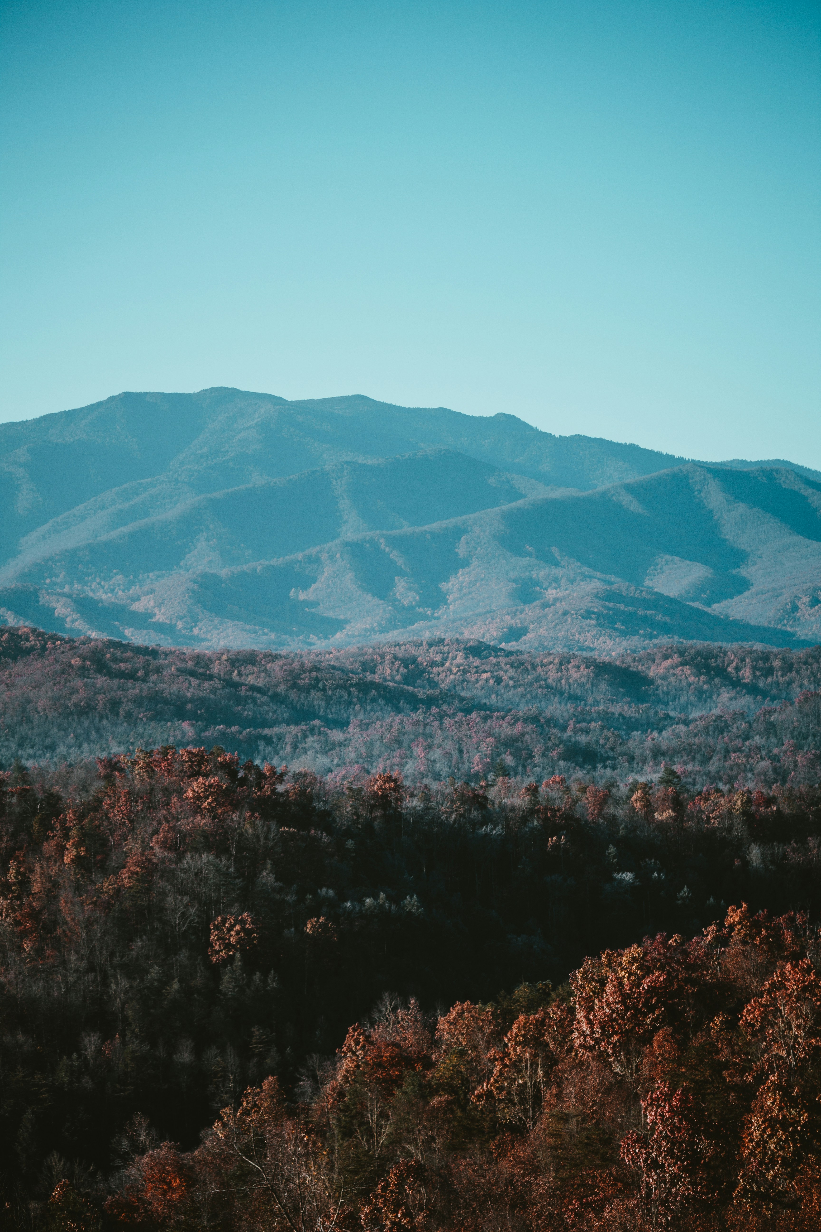 a view of a mountain range with trees in the foreground