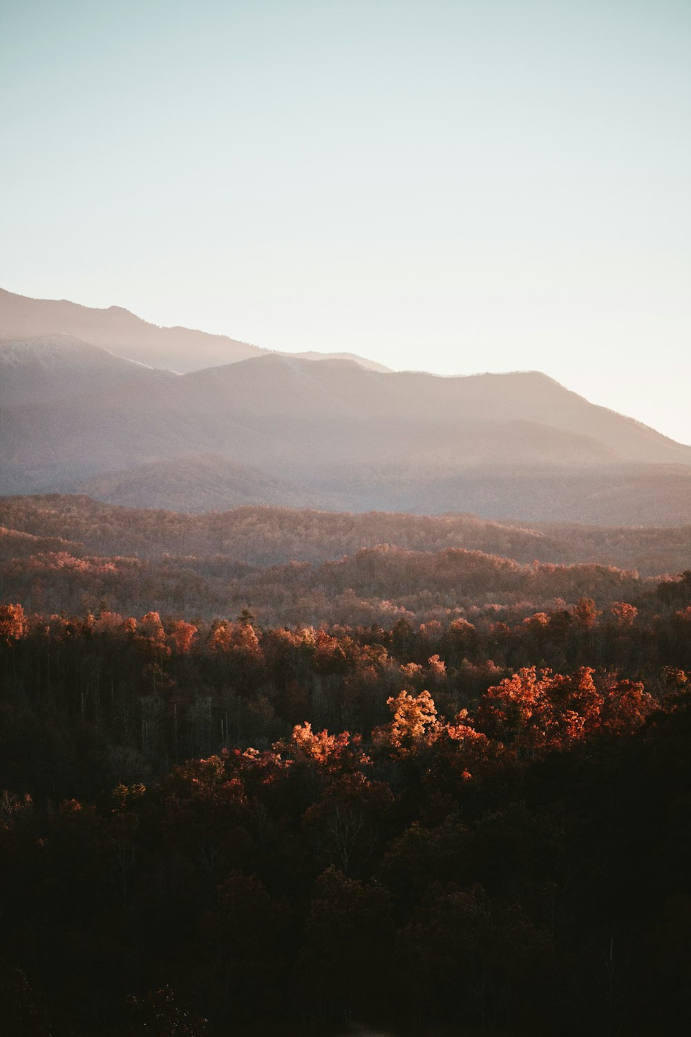 a view of a mountain range with trees in the foreground