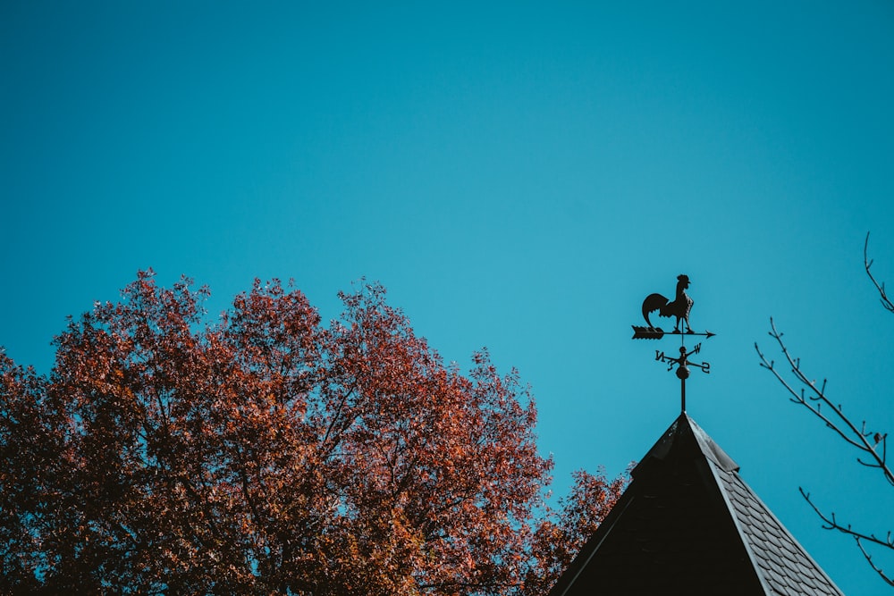 a rooster on top of a weather vane on top of a roof