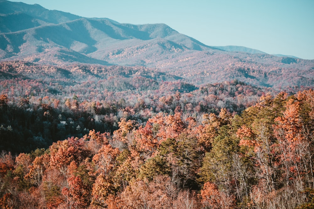 a view of a mountain range in the fall