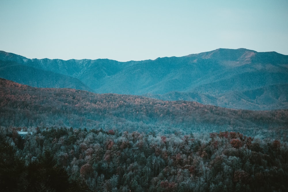 a view of a mountain range with trees in the foreground