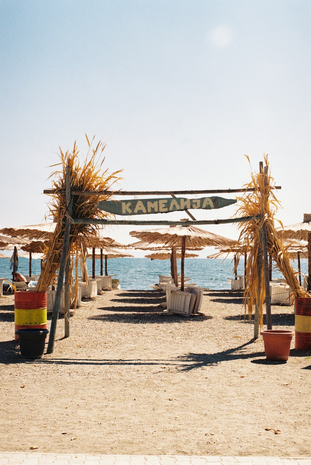 a sandy beach covered in lots of umbrellas and chairs