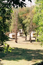 a group of campers parked in a wooded area