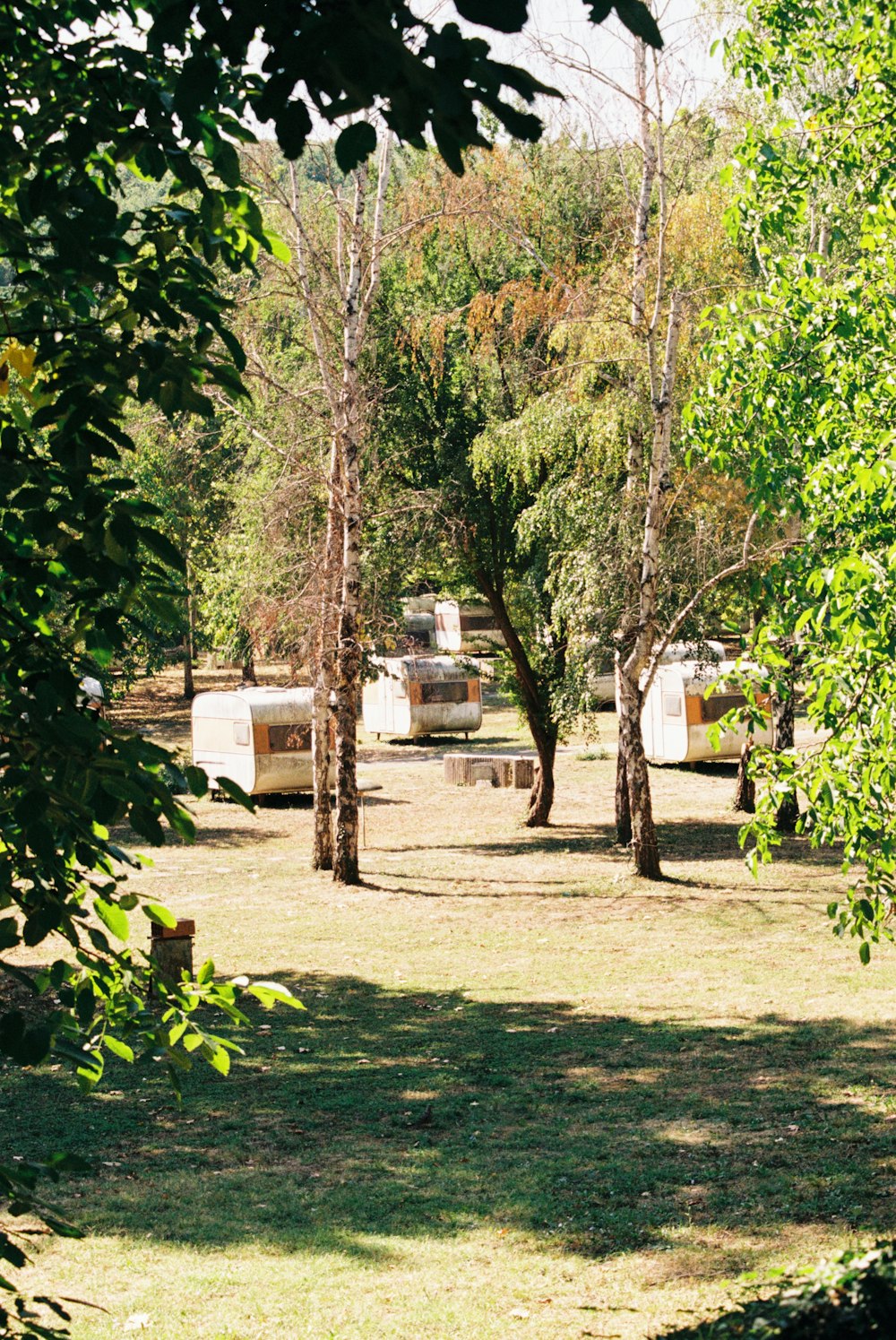 a group of campers parked in a wooded area
