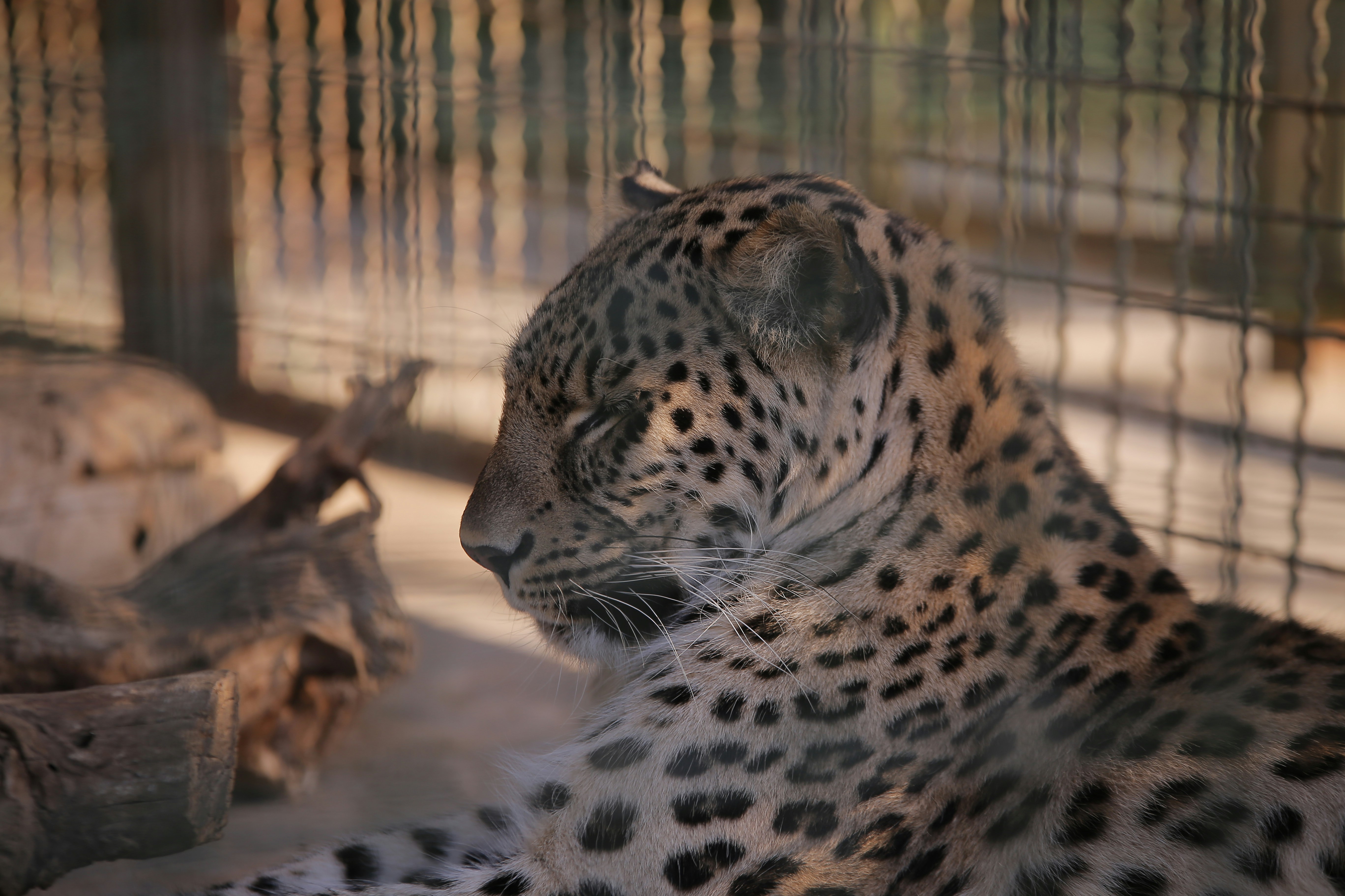 Photo by benyamin_bohlouli