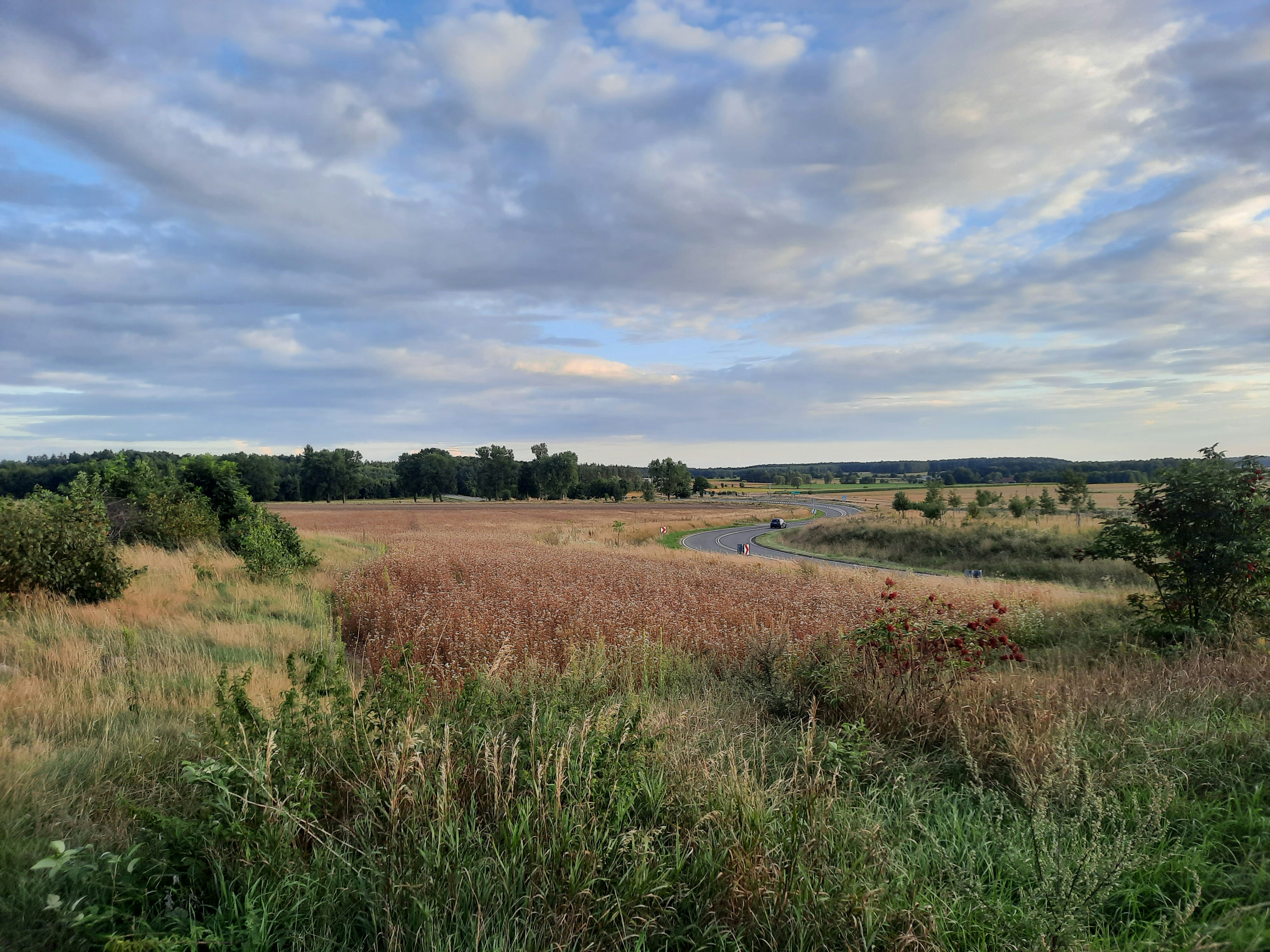 Photo by president1989