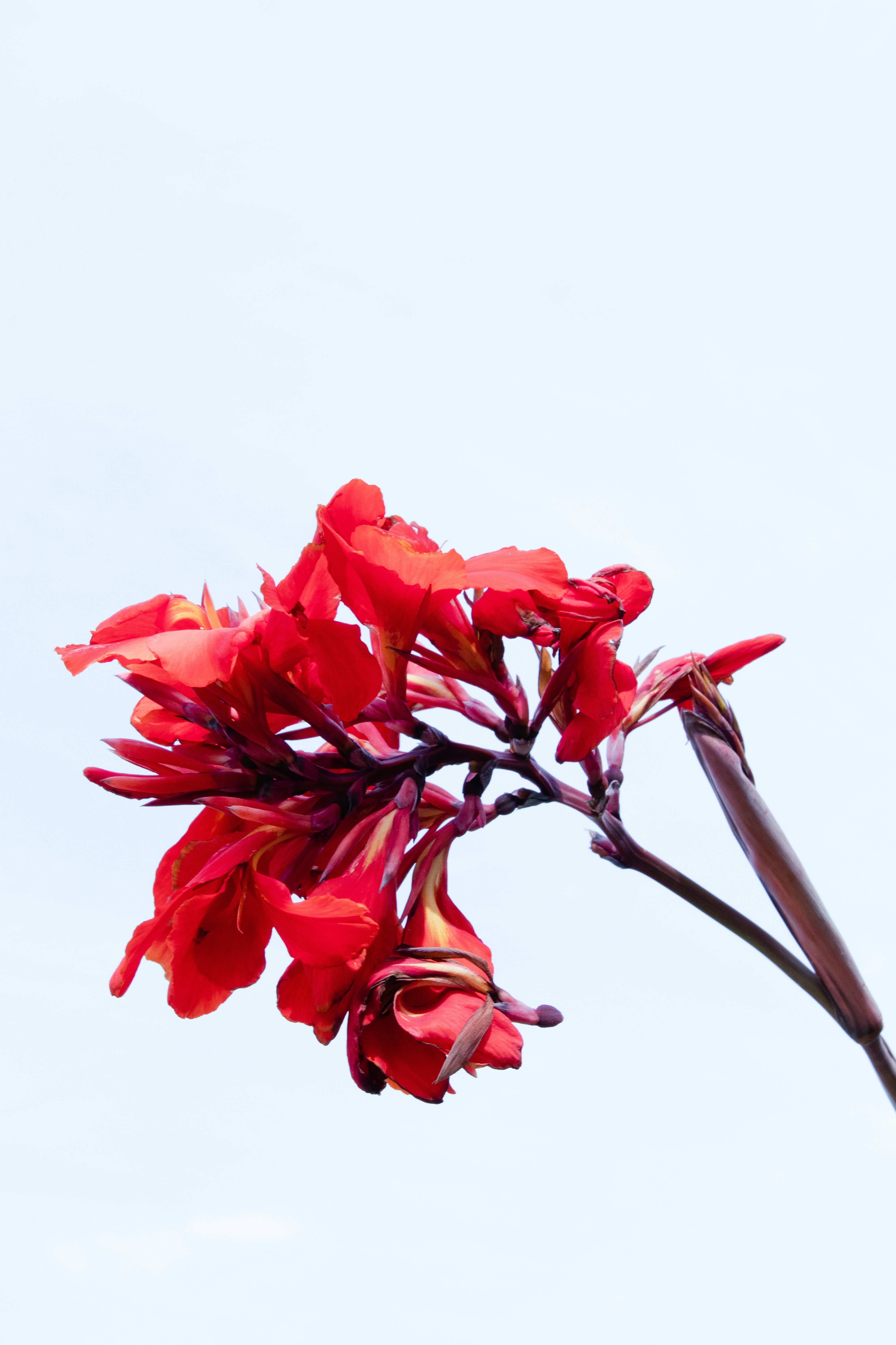 Photo by tommybachman