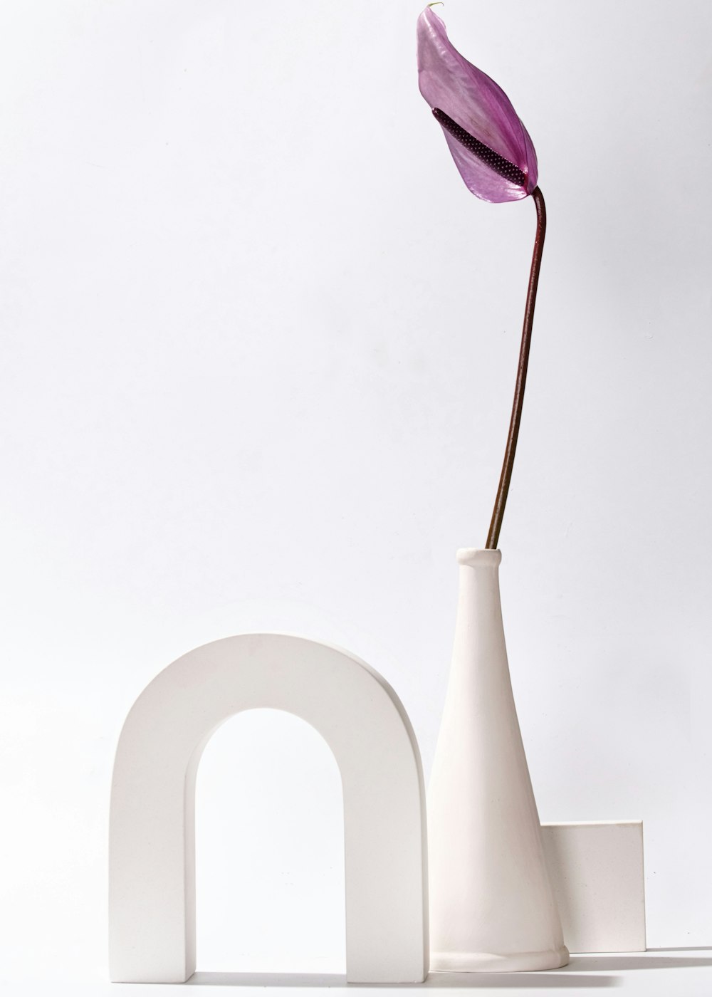 a white vase with a purple flower in it