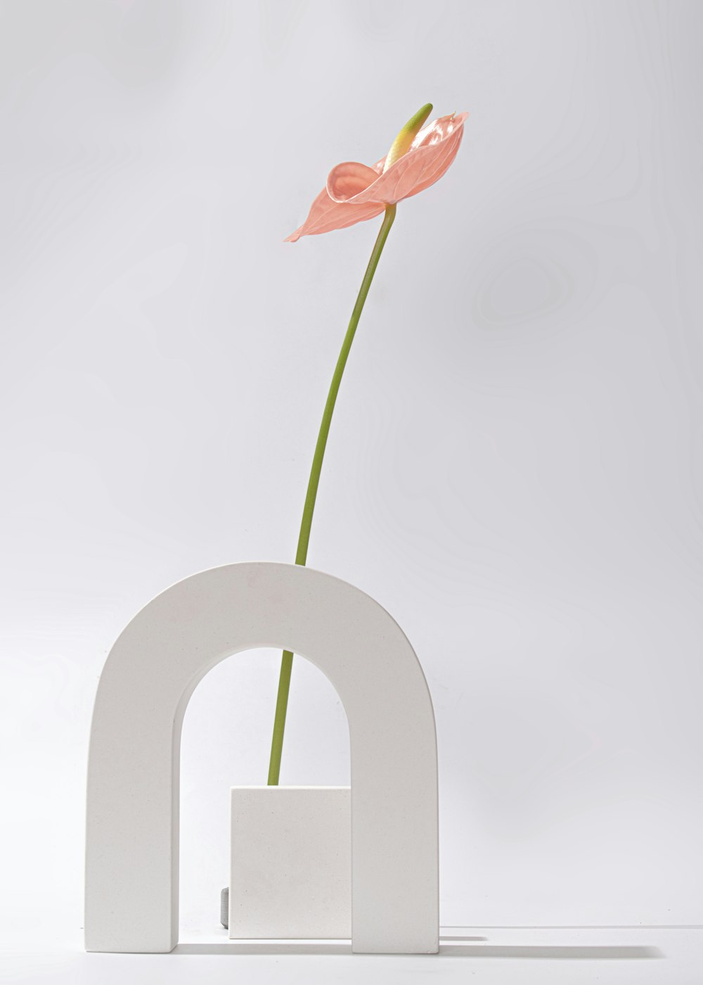 a single pink flower in a white square vase