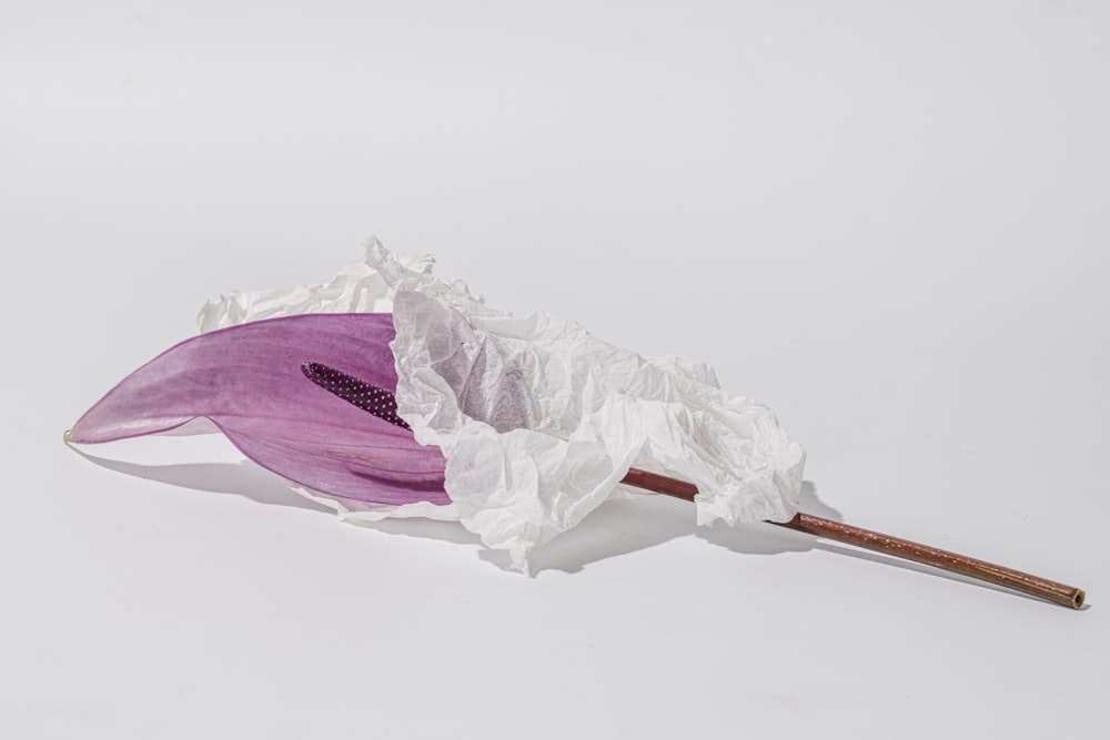 a purple flower is wrapped in white paper