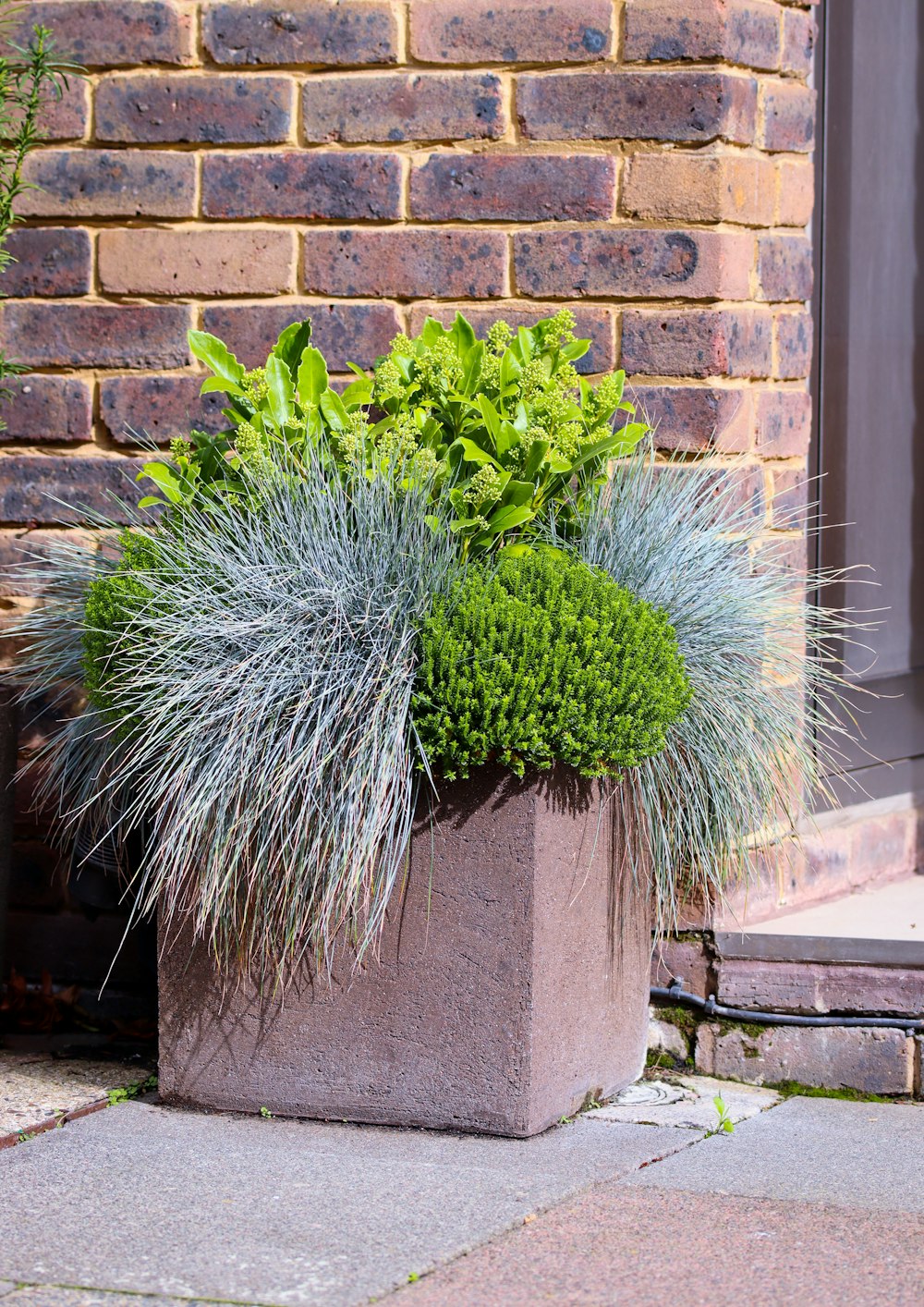 a planter filled with green plants next to a brick building