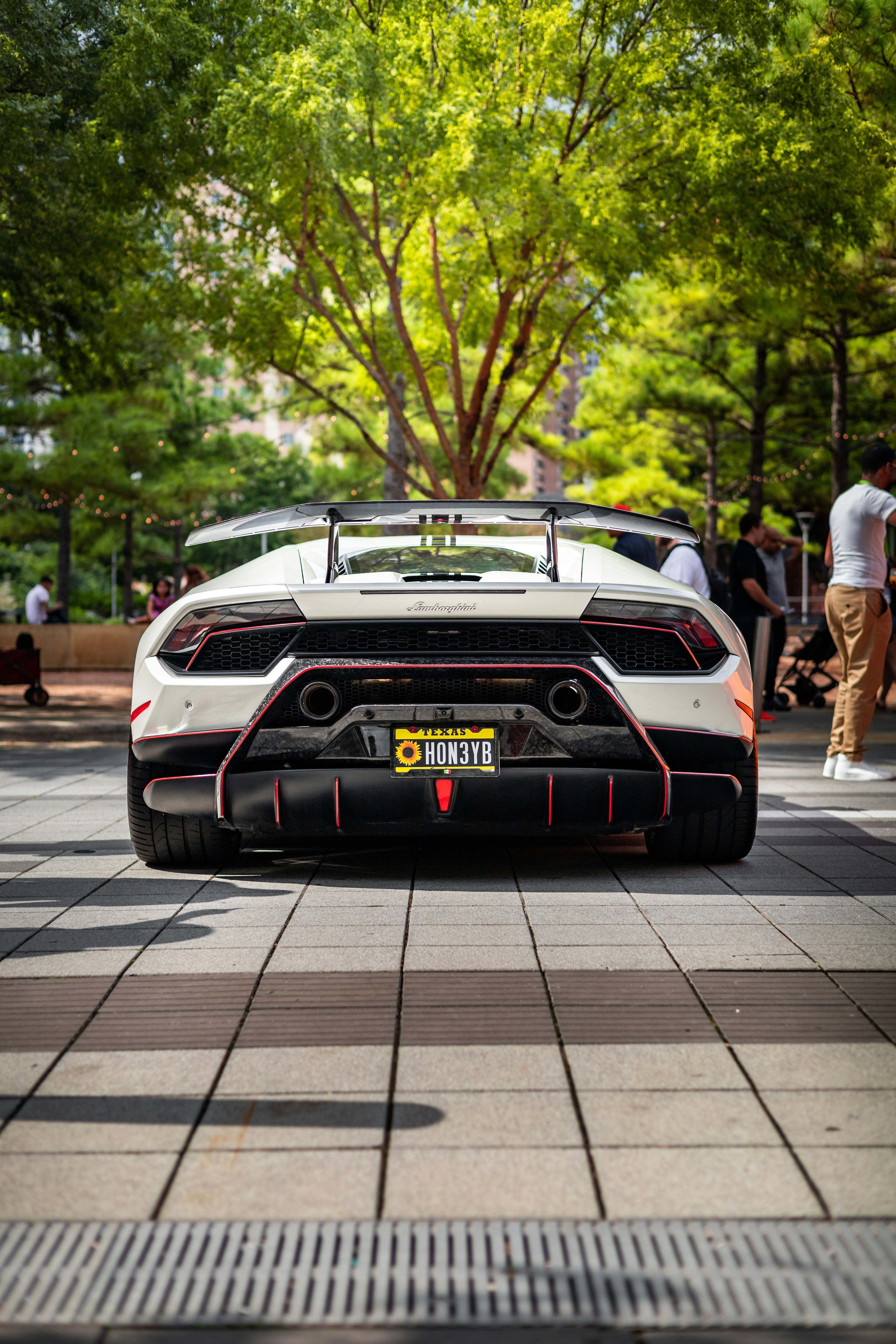 Photo by lonestarexotic