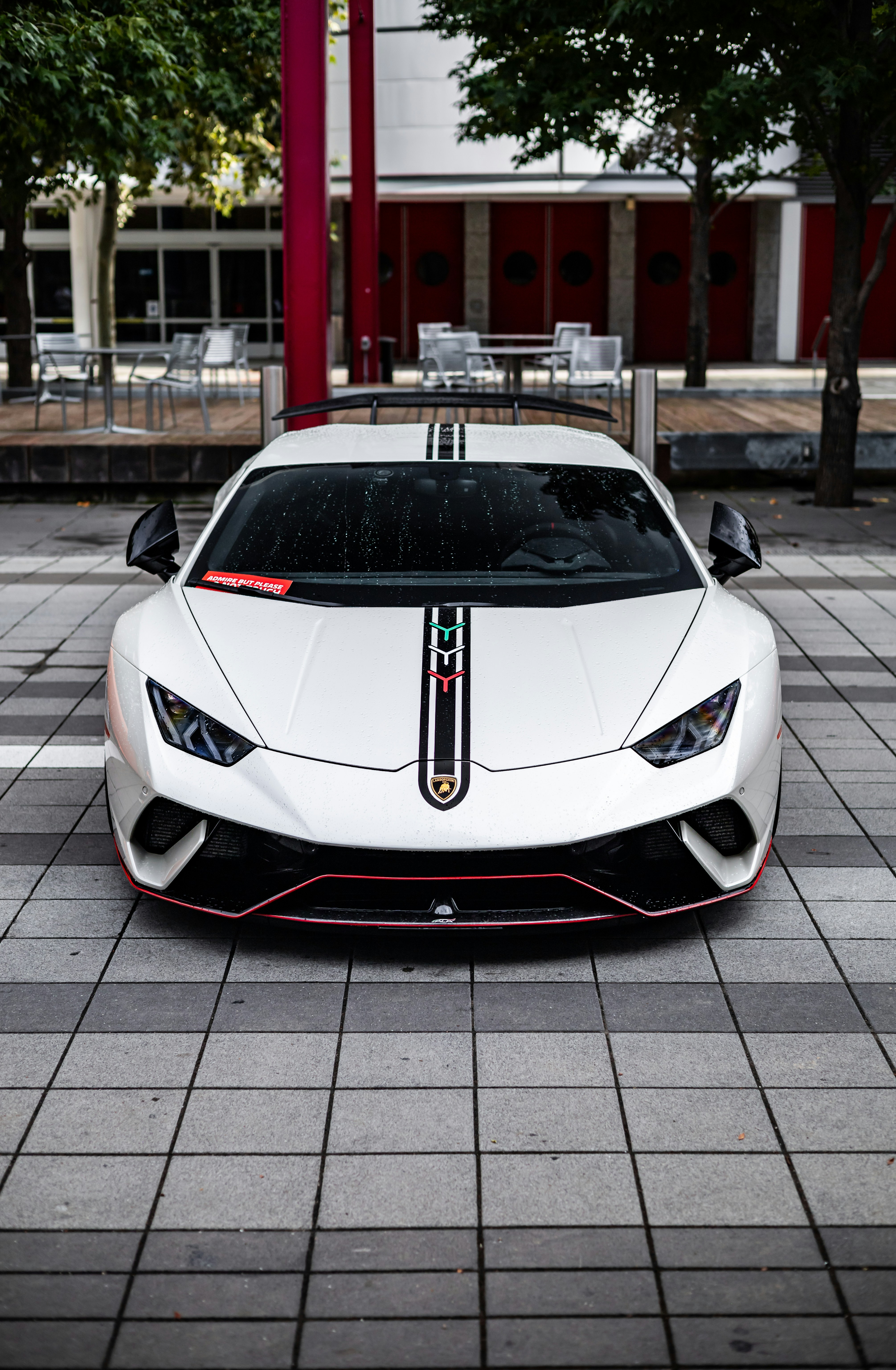 Photo by lonestarexotic