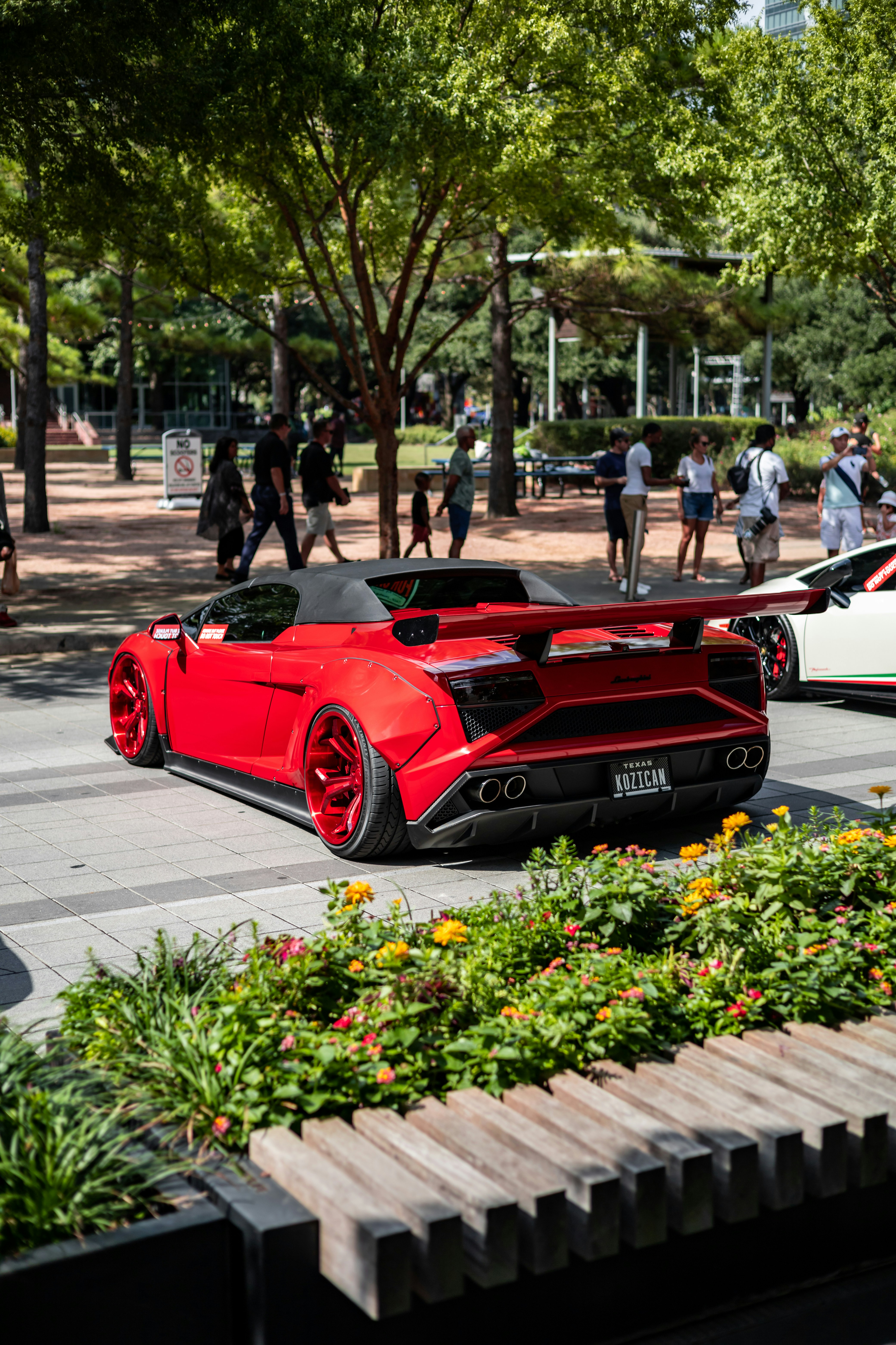 Photo by lonestarexotic