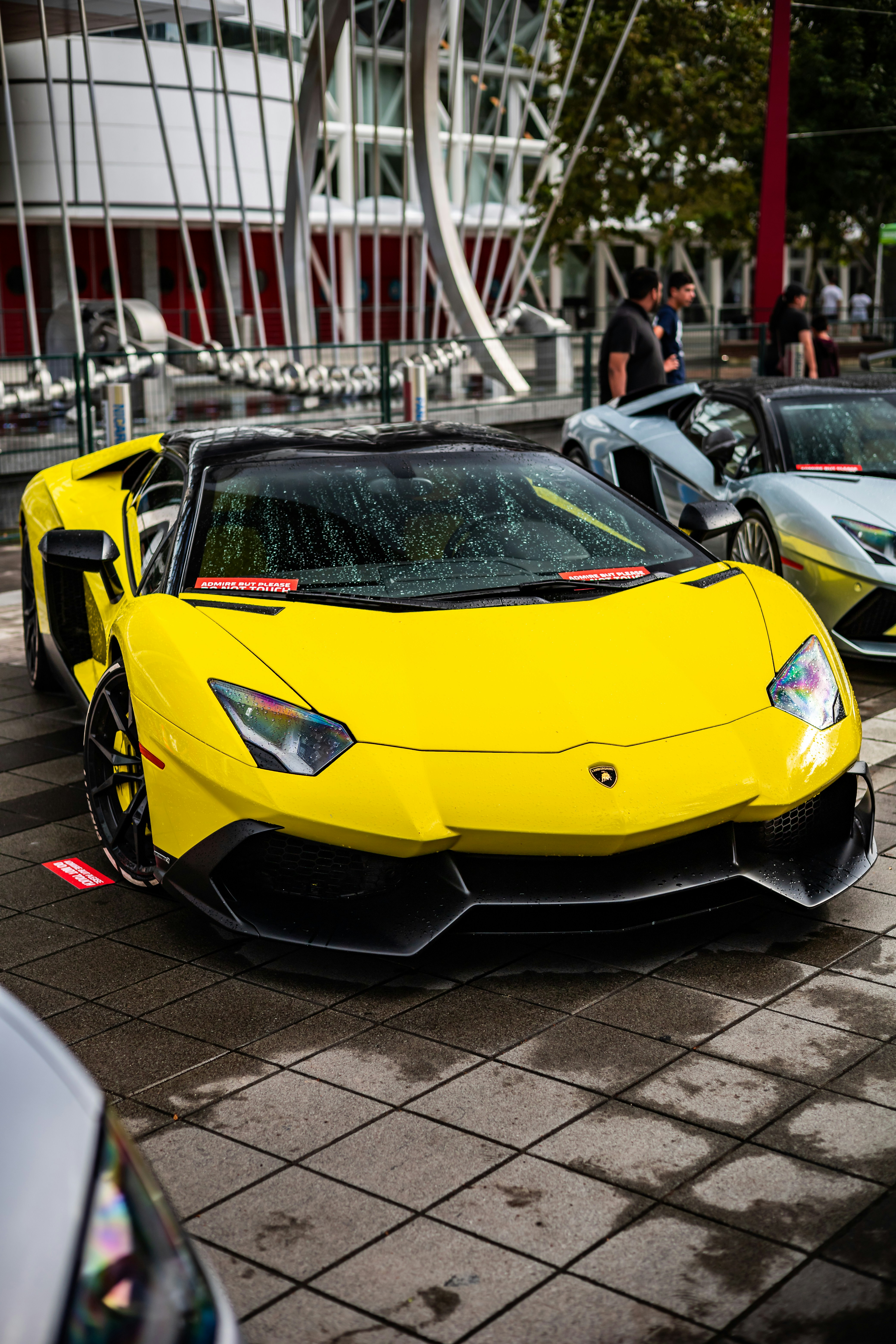 Photo by lonestarexotic