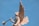 a statue of an angel holding a baseball bat