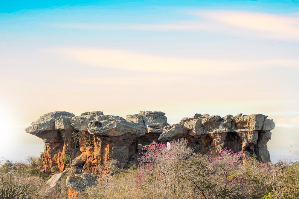 a large rock formation in the middle of a forest