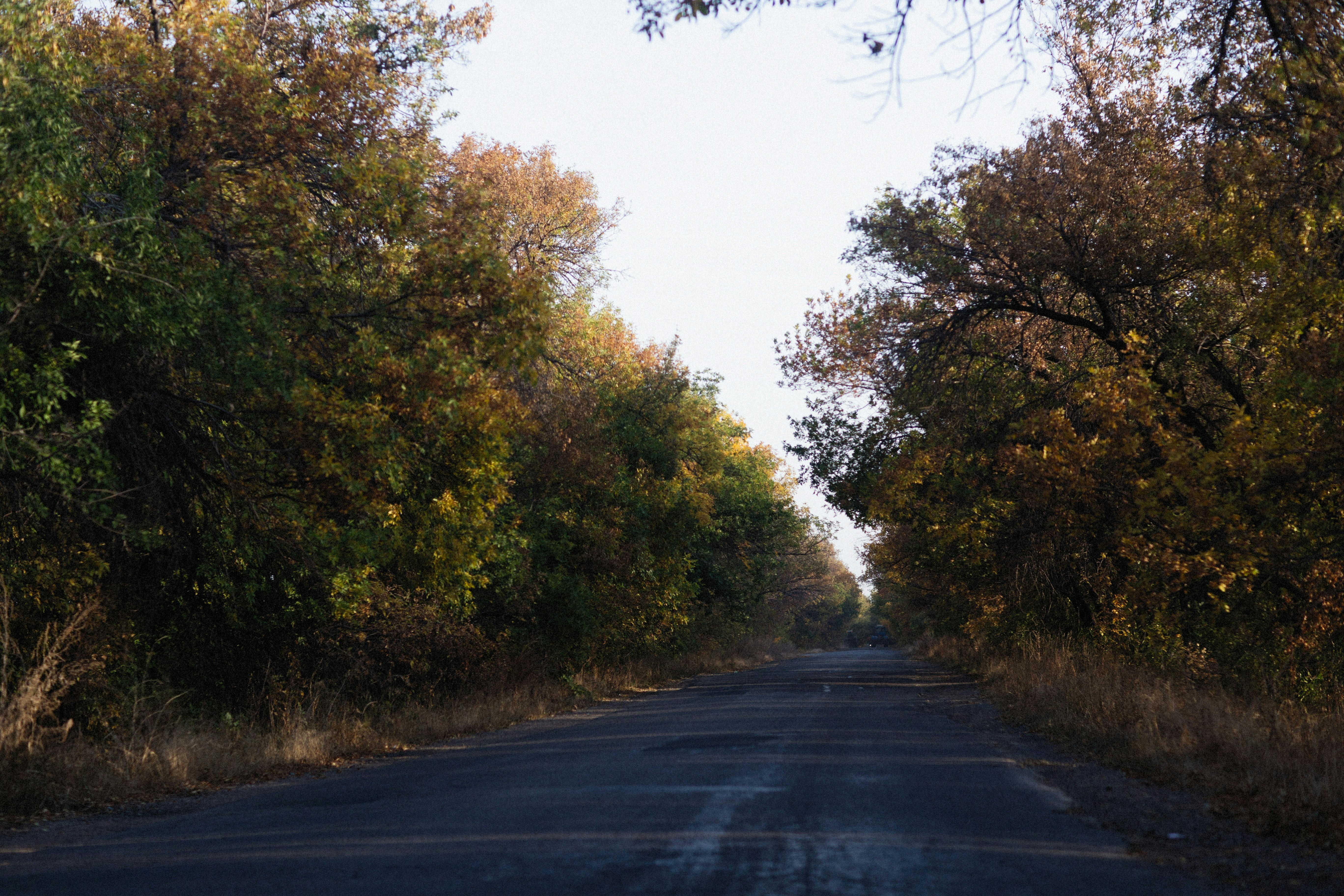 Photo by alexeydemidov