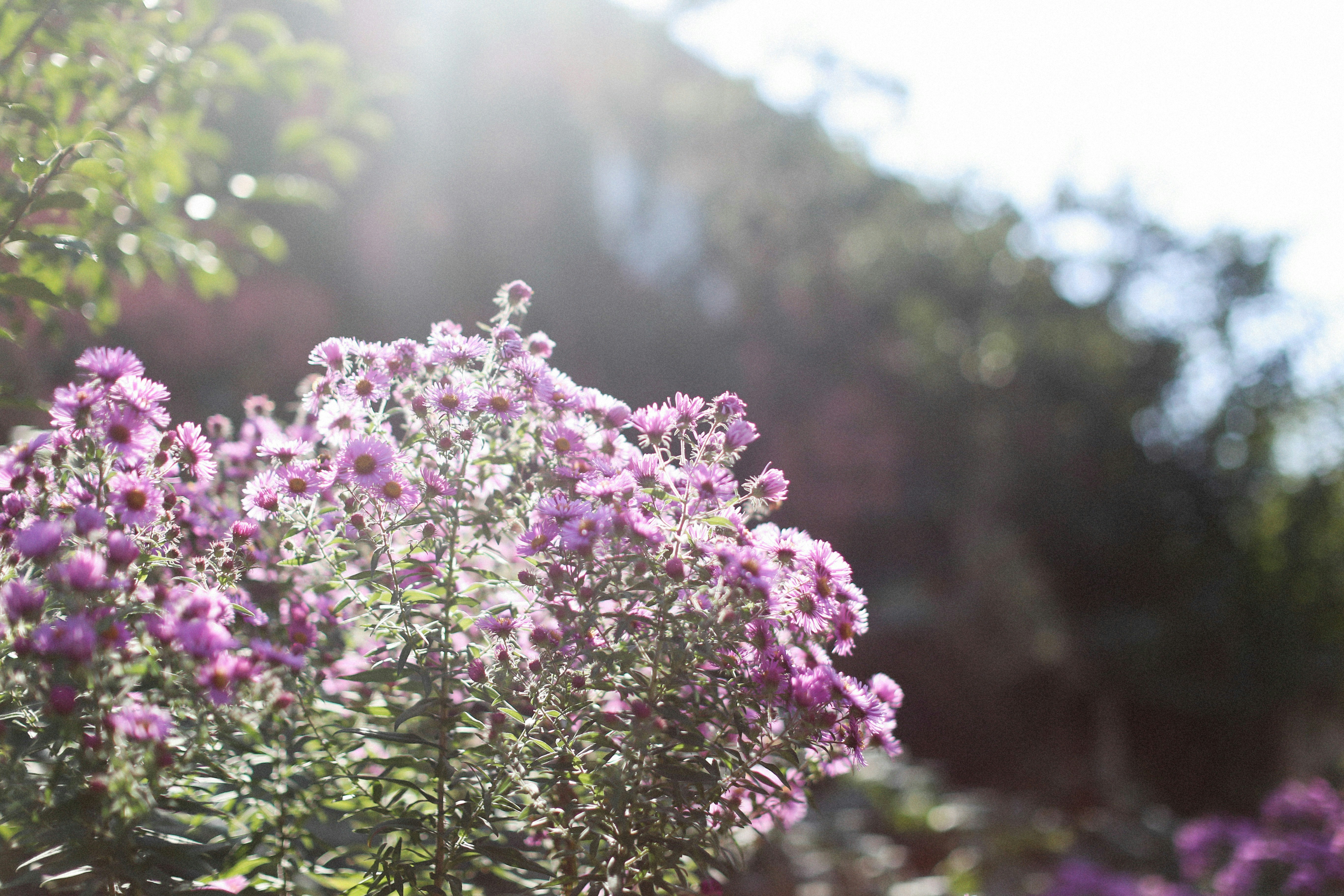 Photo by alexeydemidov