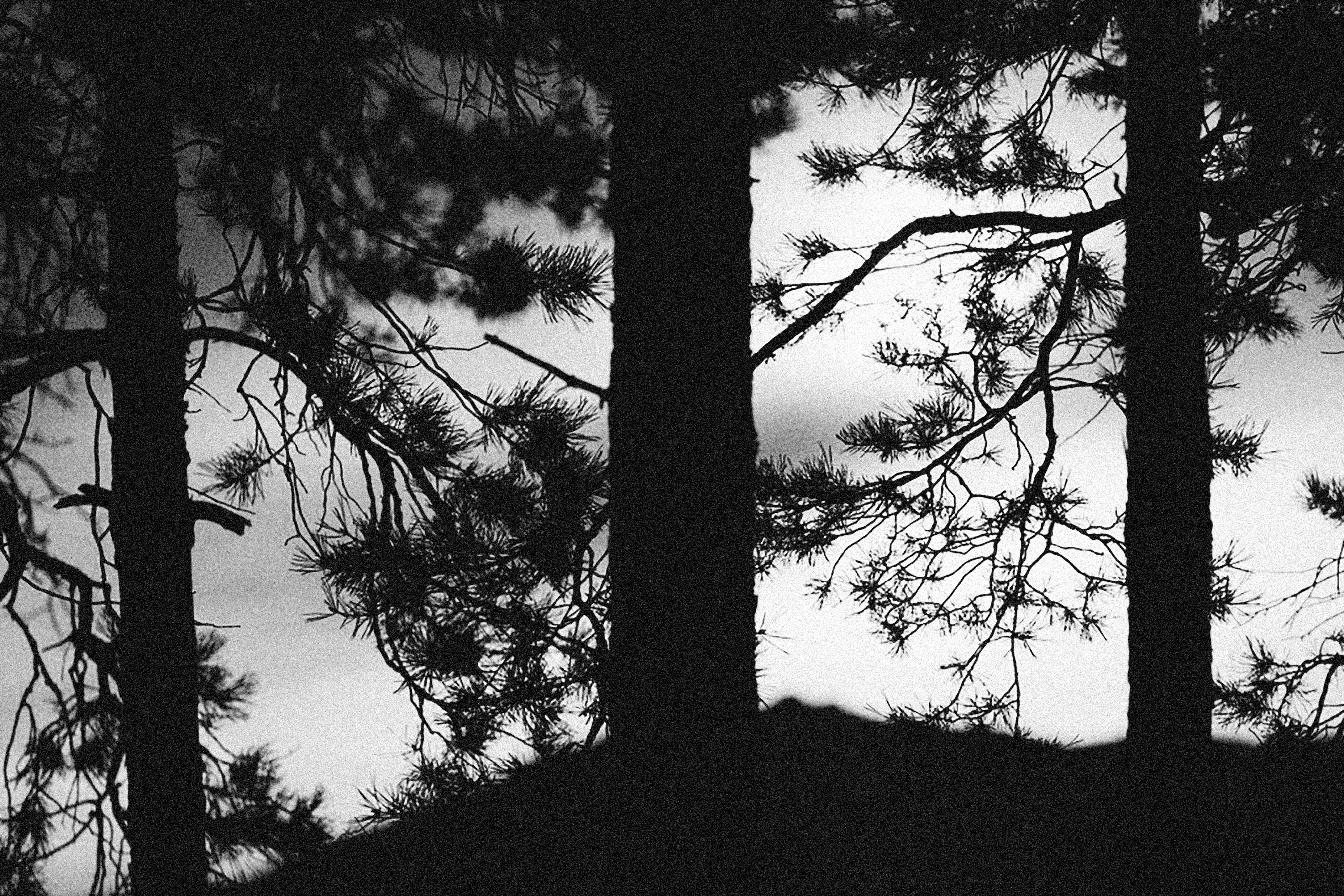 Photo by alexeydemidov