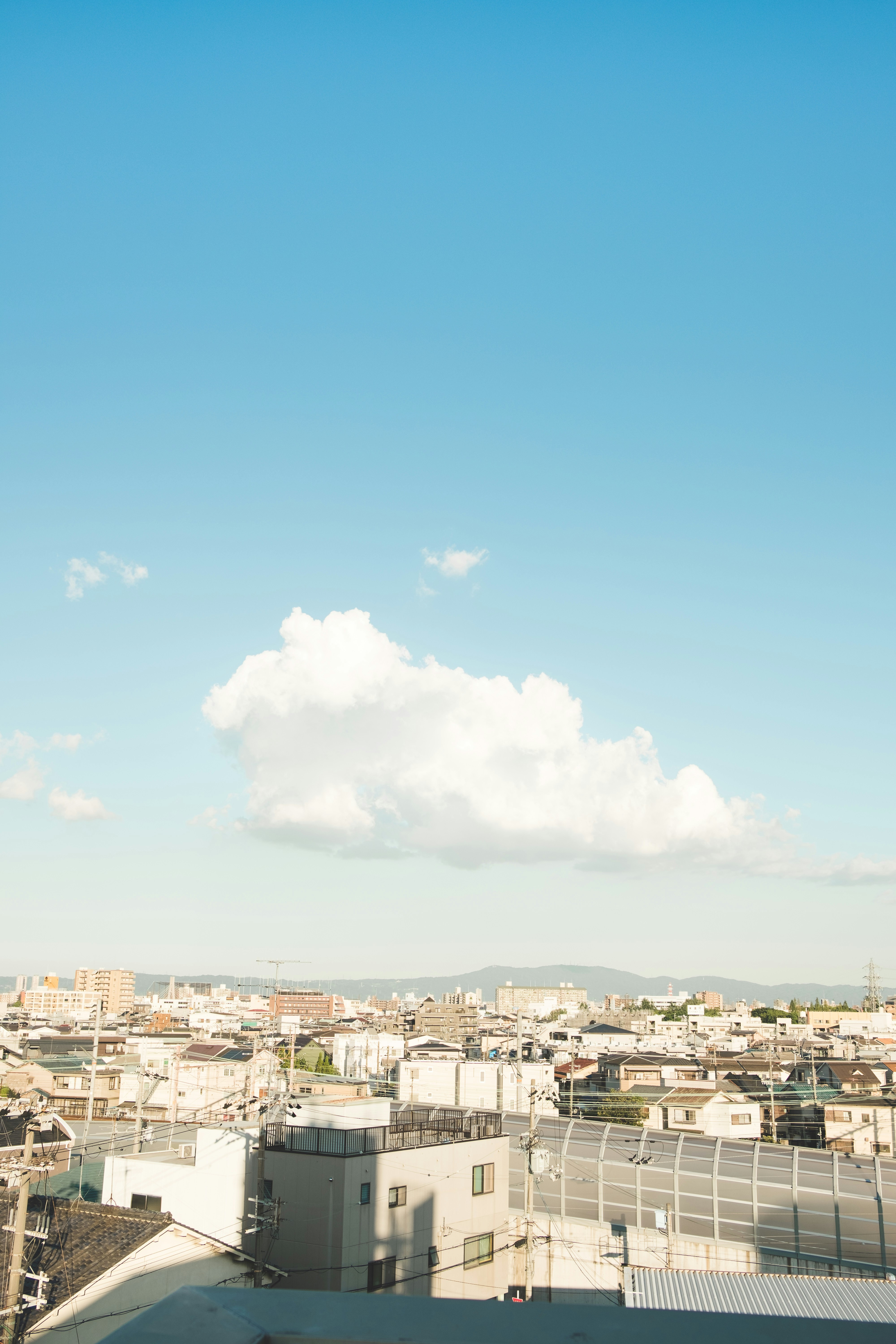 Photo by bphetcreative