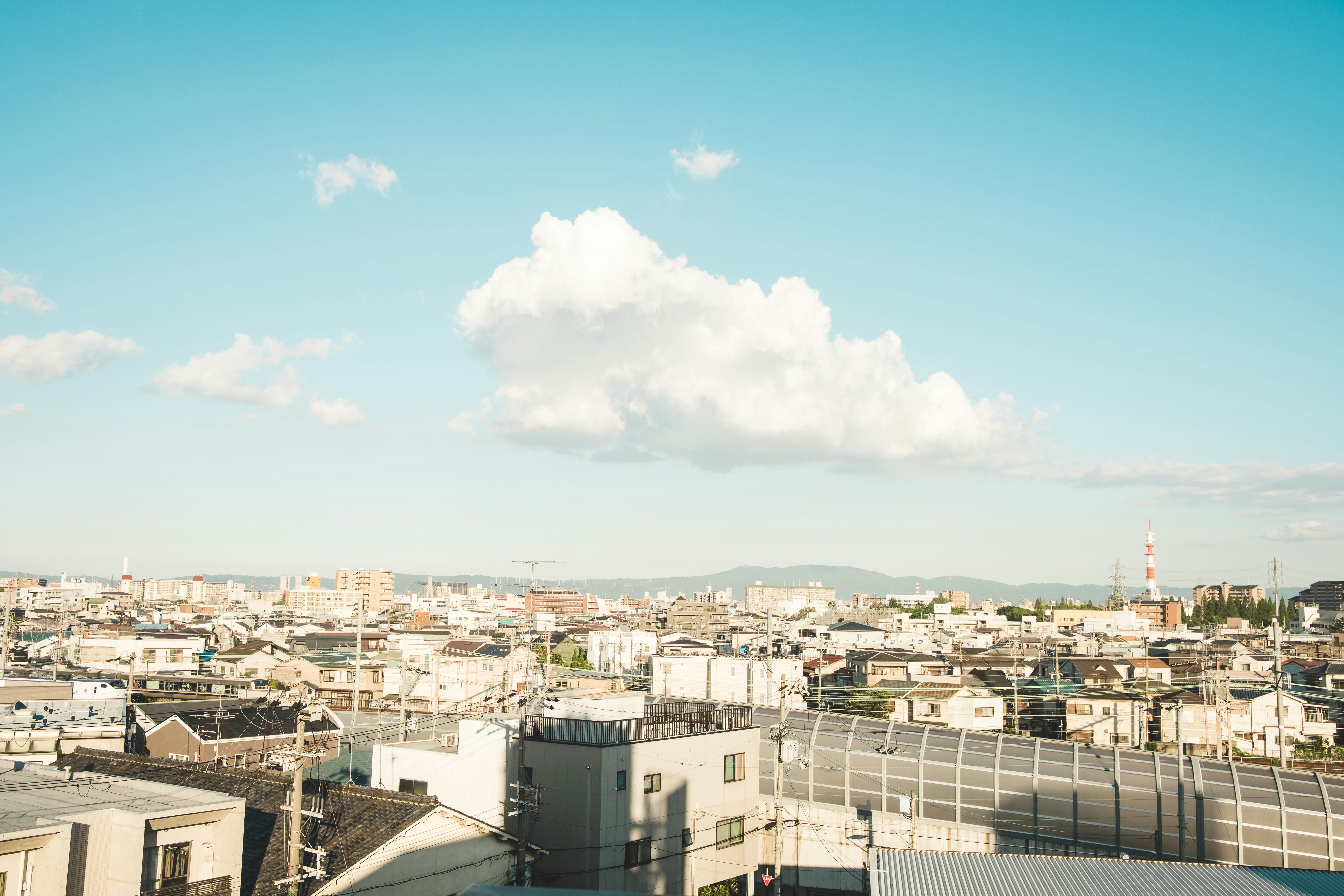 Photo by bphetcreative