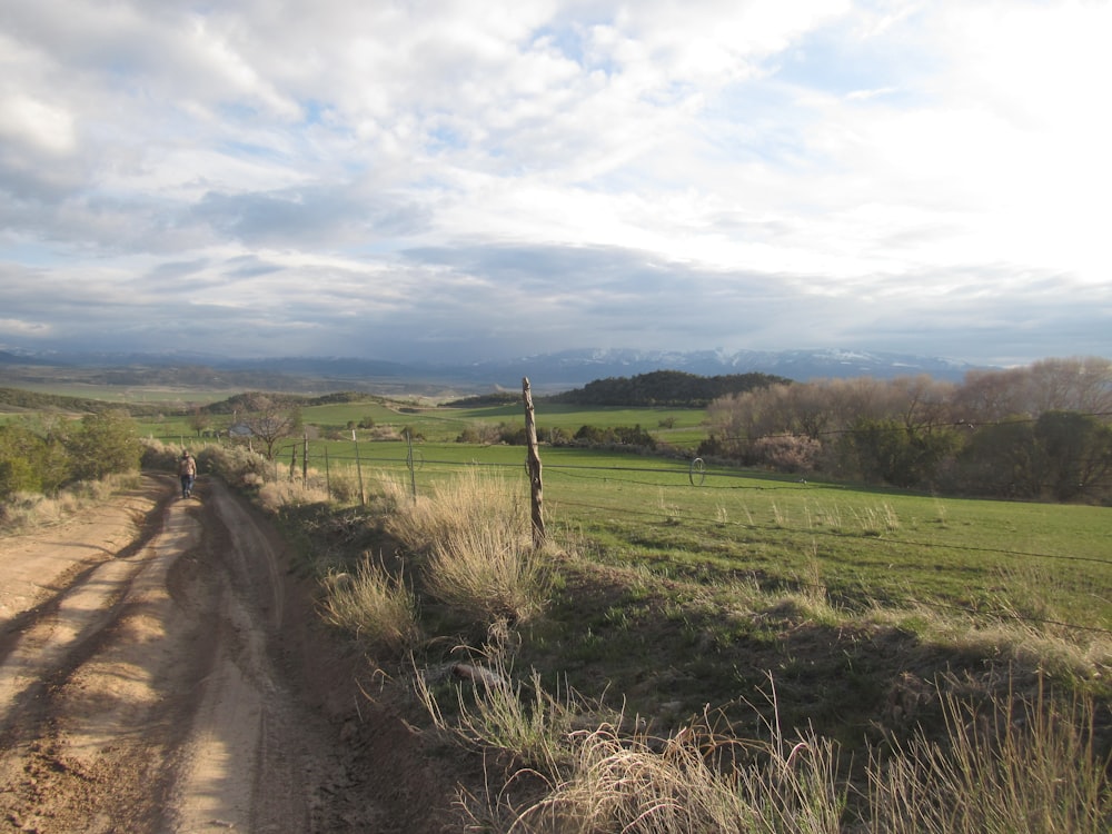 a dirt road going through a lush green field