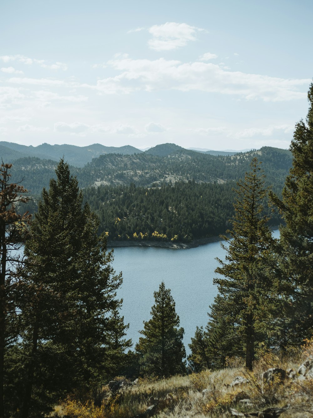 un grande specchio d'acqua circondato da alberi