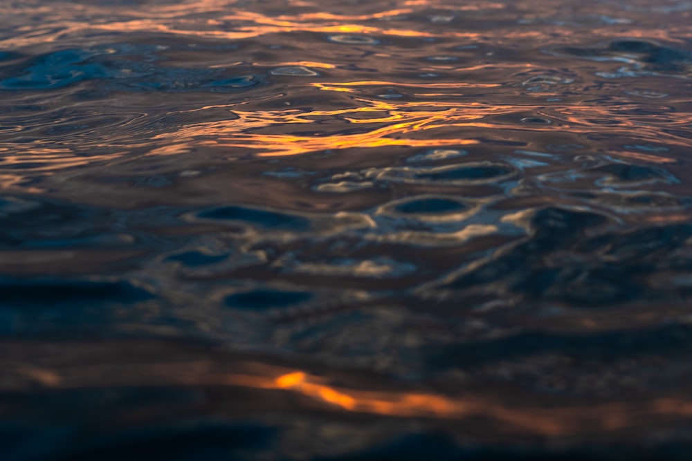 Nahaufnahme eines Gewässers bei Sonnenuntergang