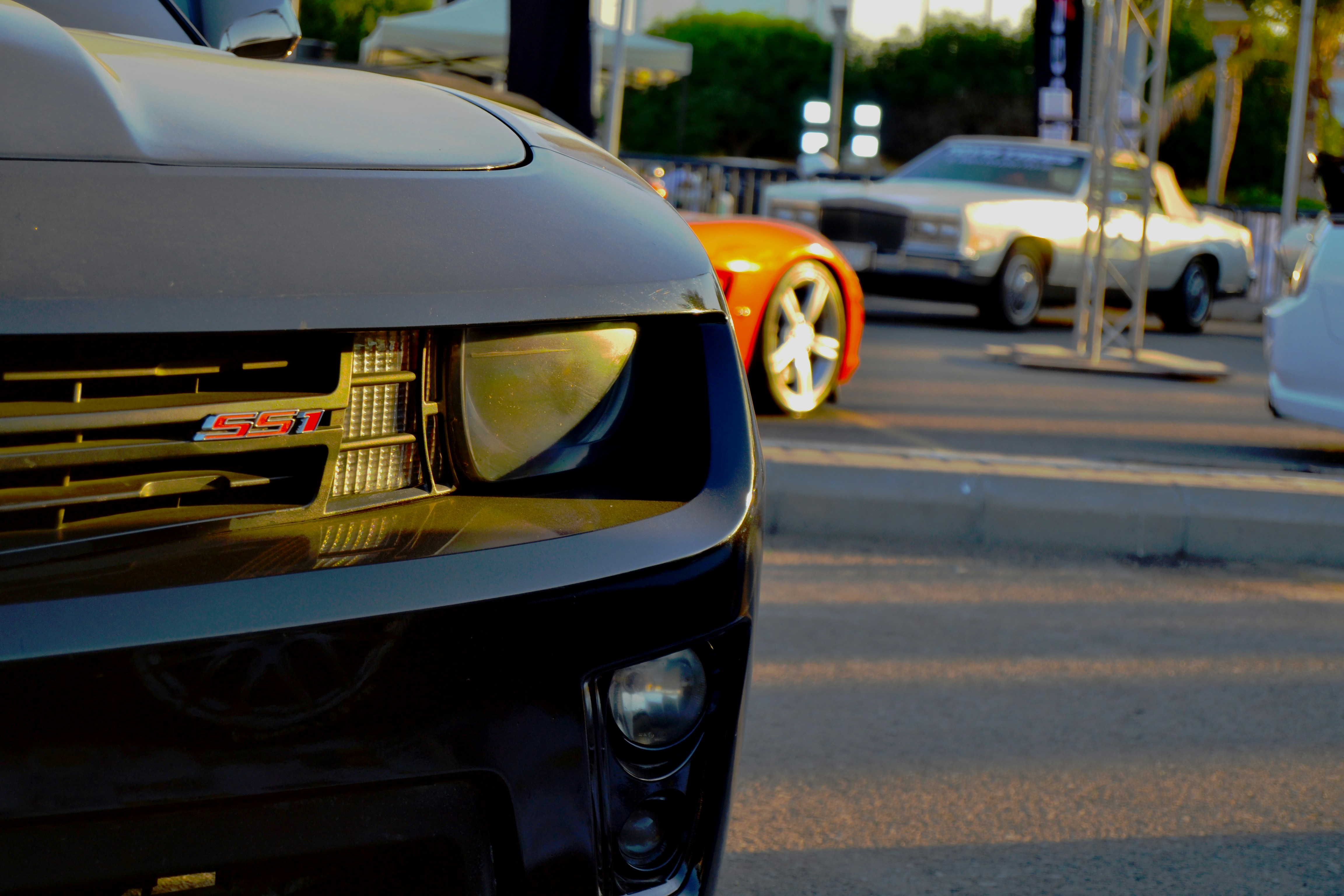 Photo by mohammad_zeeshan