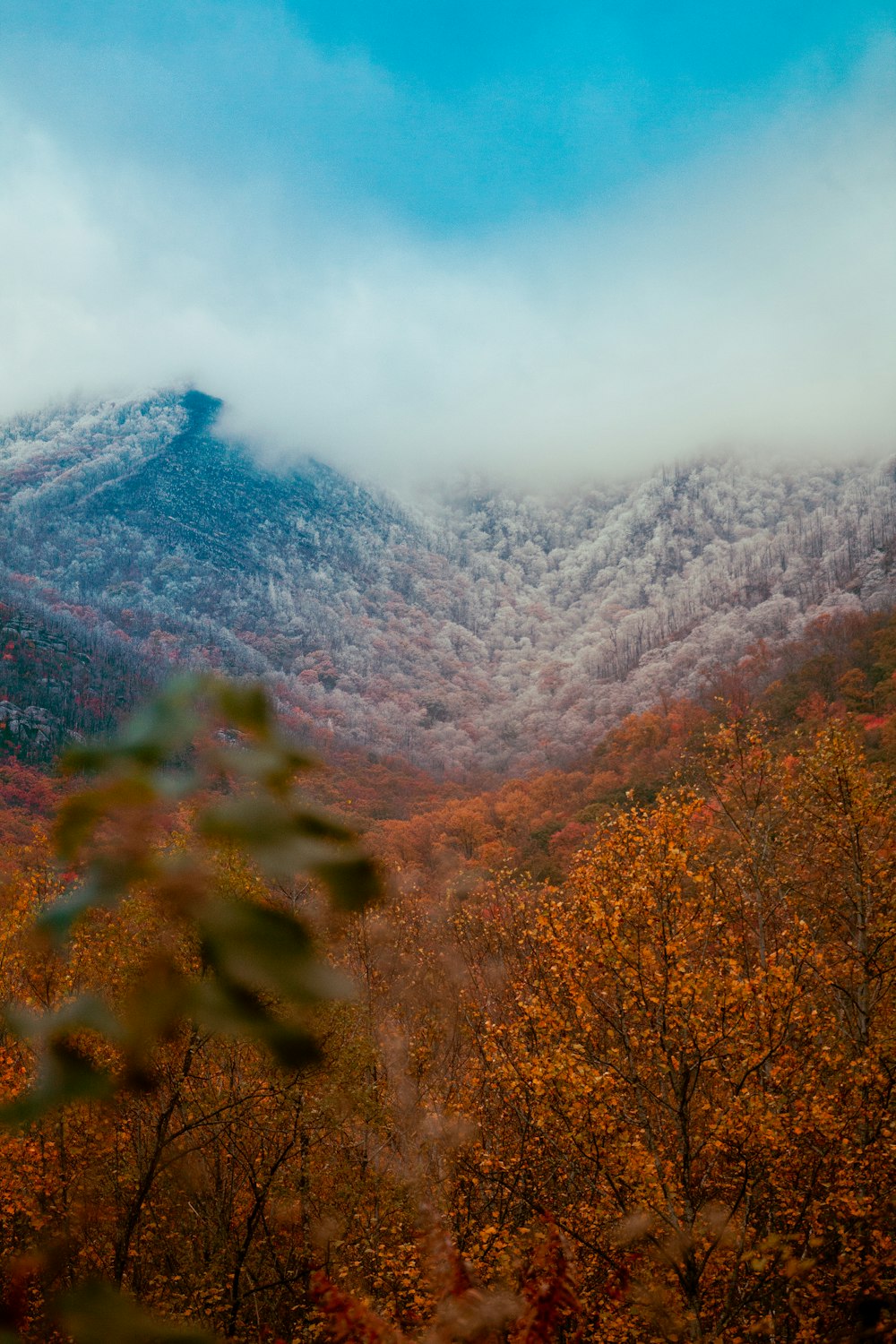 a view of a mountain covered in clouds and trees