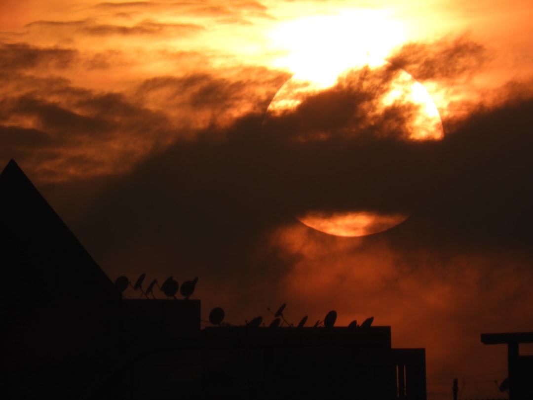 a group of birds sitting on top of a roof, When the sky was on fire