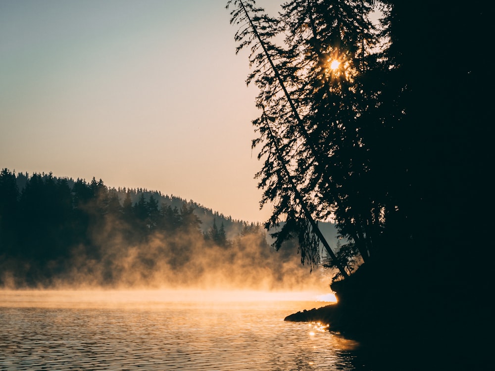 a body of water with trees in the background