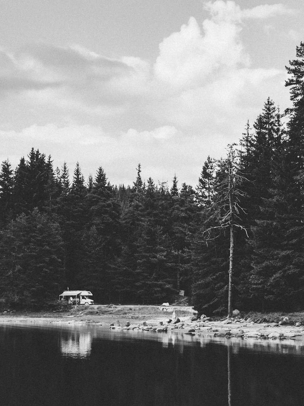 a black and white photo of a lake surrounded by trees