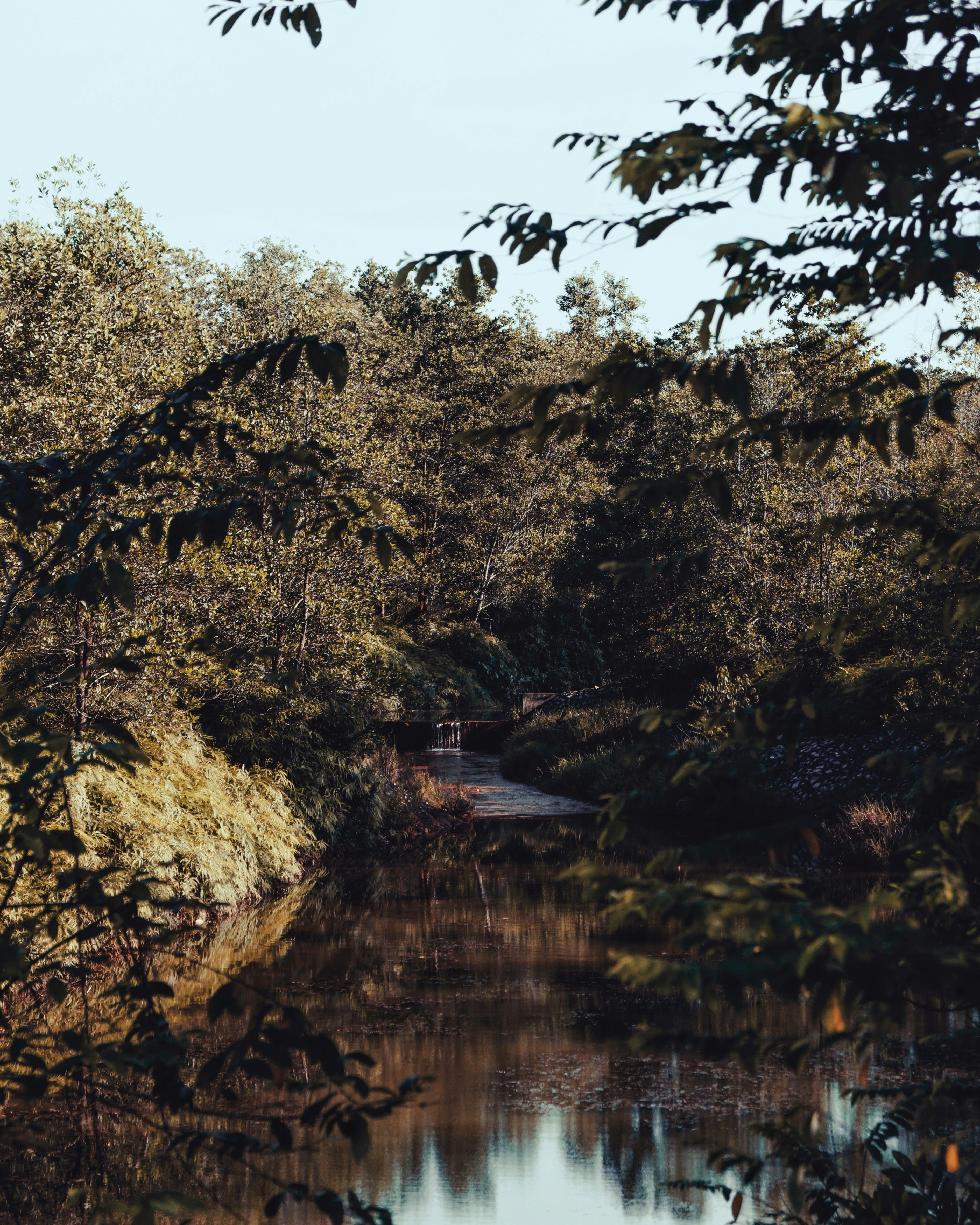 Photo by liberalvisuals